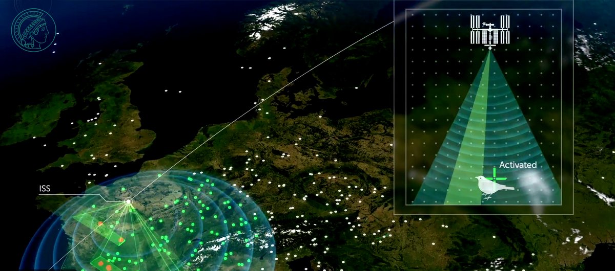 ICARUS communication between animal tags and SpaceTech demonstrator antenna on ISS